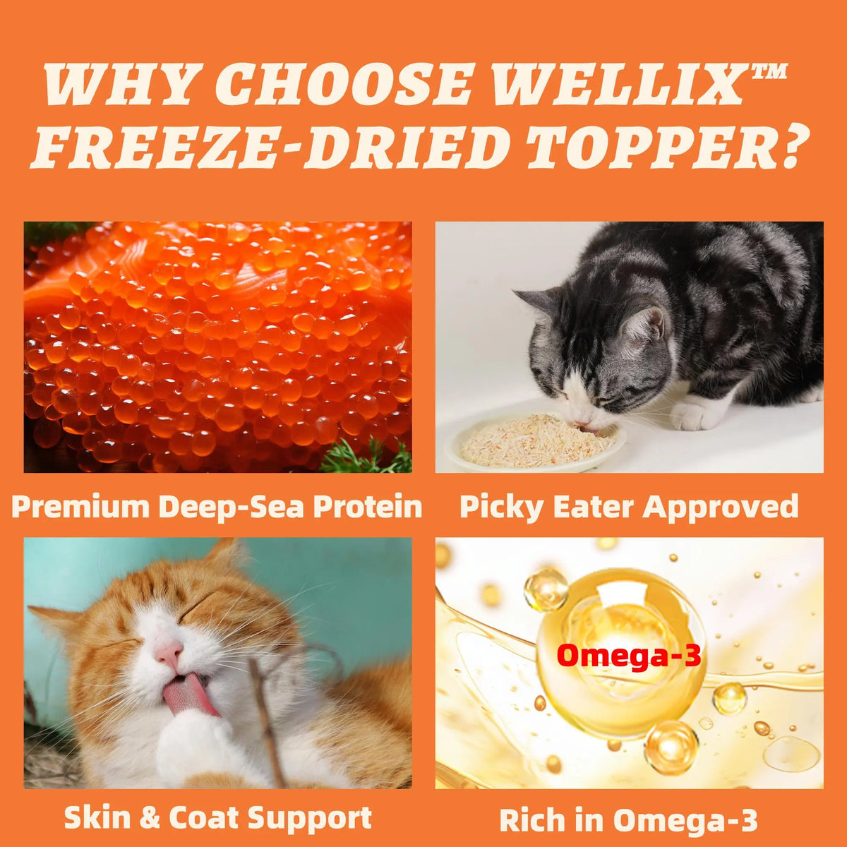 Wellix 7.5 Oz Freeze-Dried Chicken Formula Pet Topper - Nutritious Treat with Chicken, Egg Yolk, and Salmon Roe, Low-Calorie, 100% Natural, Antioxidant Support and Cognitive Aid