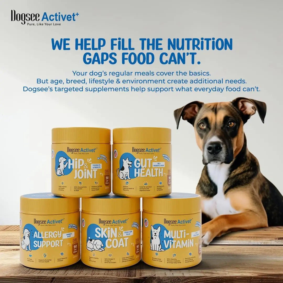 Dogsee Activet+ Allergy Support Chewables for Dogs, Enriched with Beneficial Bacteria, Quercetin, and Botanicals for Seasonal Allergy Relief, Immune Support, Healthy Skin, and Digestive Health - Chicken Flavor, 90 Chews
