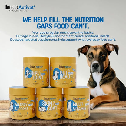 Dogsee Activet+ Allergy Support Chewables for Dogs, Enriched with Beneficial Bacteria, Quercetin, and Botanicals for Seasonal Allergy Relief, Immune Support, Healthy Skin, and Digestive Health - Chicken Flavor, 90 Chews