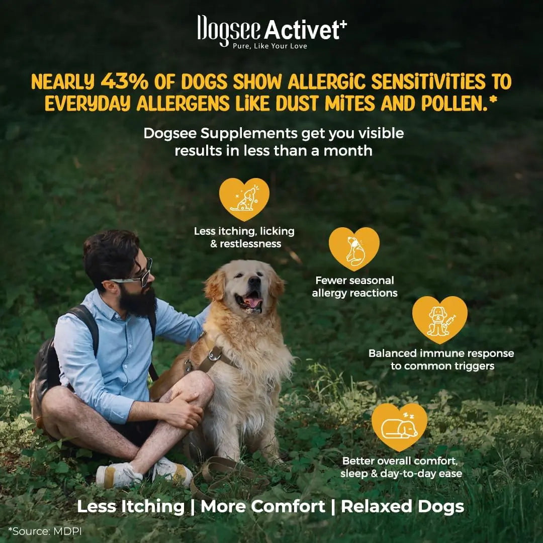 Dogsee Activet+ Allergy Support Chewables for Dogs, Enriched with Beneficial Bacteria, Quercetin, and Botanicals for Seasonal Allergy Relief, Immune Support, Healthy Skin, and Digestive Health - Chicken Flavor, 90 Chews