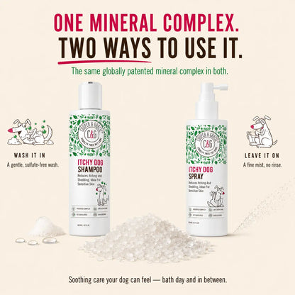 Dead Sea Itchy Skin Relief Bundle - Itchy Dog Shampoo 300Ml + Itchy Dog Spray 250Ml Spray | Plant-Based, Vet-Developed