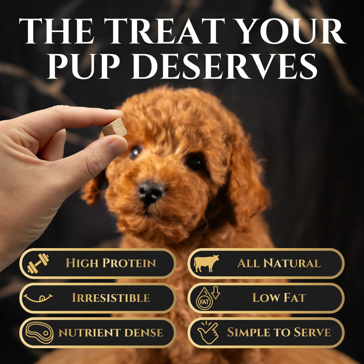 Freeze Dried Beef Liver Dog Treats - Single Ingredient Training Treats, Grain-Free, High-Protein (No Fillers) Natural