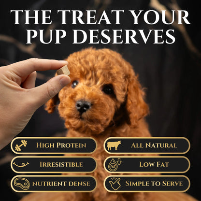 Freeze Dried Beef Liver Dog Treats - Single Ingredient Training Treats, Grain-Free, High-Protein (No Fillers) Natural