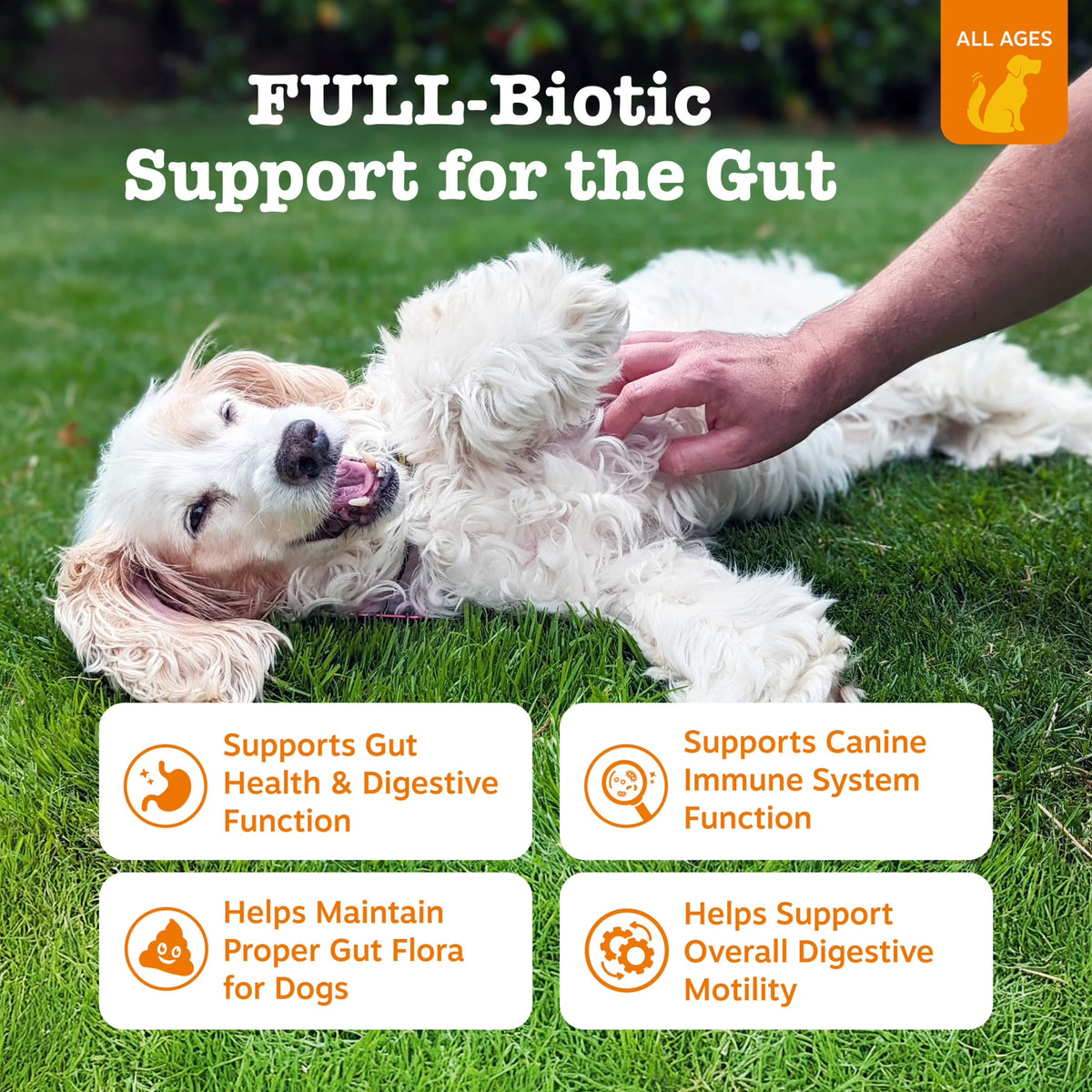 Vet Strength Pre, Post & Probiotic Bites Chicken & Harvest Vegetables Flavor Dog Supplement, 90 Count
