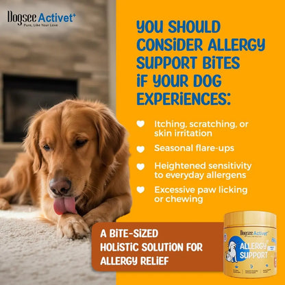 Dogsee Activet+ Allergy Support Chewables for Dogs, Enriched with Beneficial Bacteria, Quercetin, and Botanicals for Seasonal Allergy Relief, Immune Support, Healthy Skin, and Digestive Health - Chicken Flavor, 90 Chews