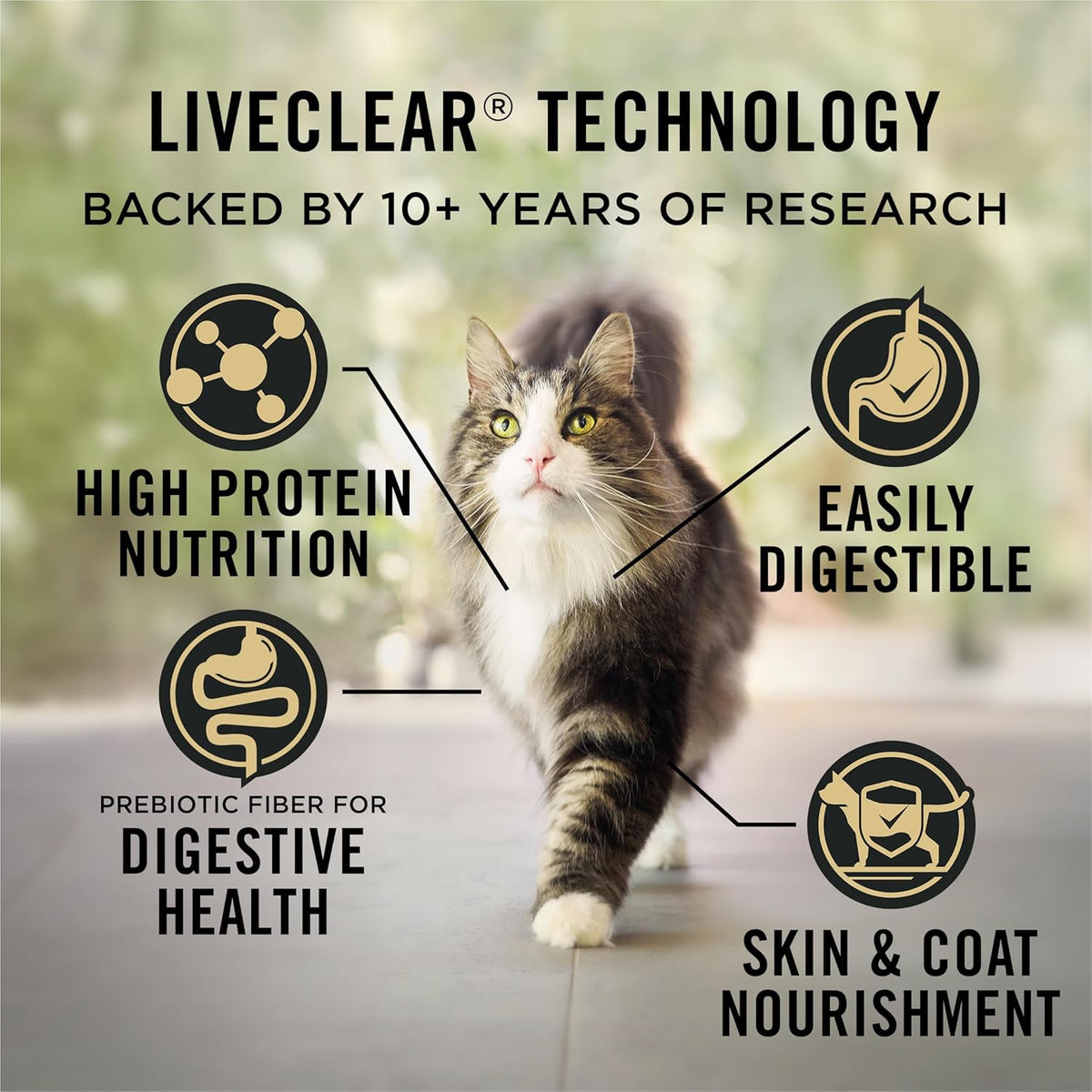 Purina Pro Plan Liveclear Sensitive Skin & Stomach Cat Food, 5.5 Lb Bag
