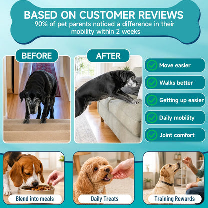 Advanced Canine Hip and Joint Supplement with Glucosamine, MSM, Chondroitin, Multivitamins, and Green Lipped Mussel - Chewable Joint Support for All Dog Breeds - Chicken Flavor