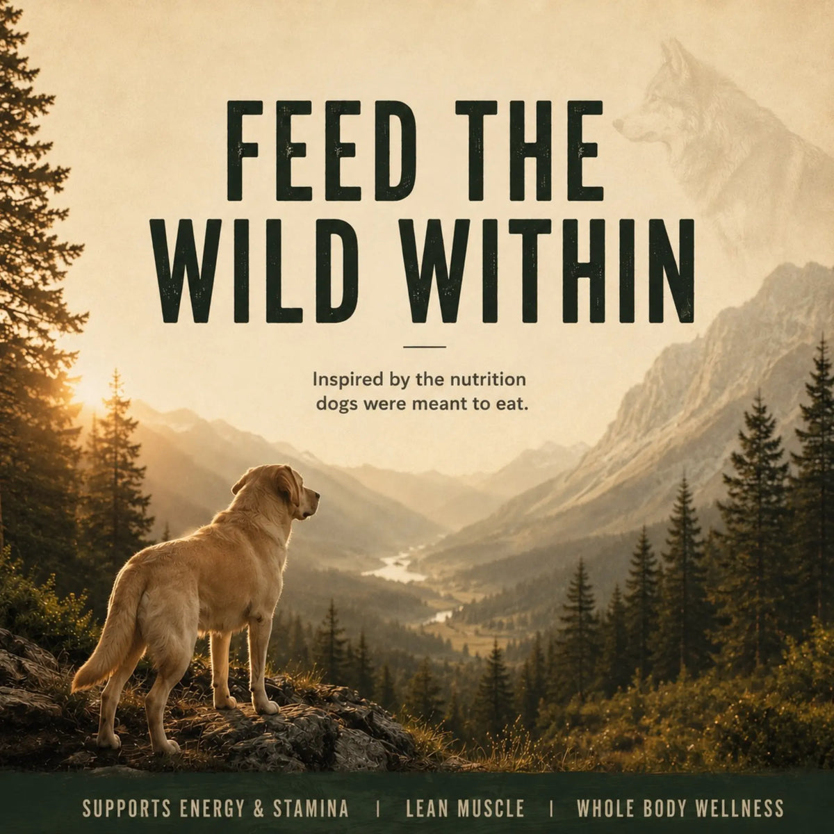 True Wild Freeze Dried Dog Treats- Premium Single Ingredient Snacks for Dogs