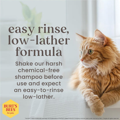 Hypoallergenic Cat Shampoo, Unscented, 10 Fl Oz, 2-Pk