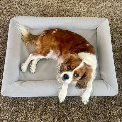 Orthopedic Memory Foam Dog Bed for Large Breeds with Arthritis or Health Concerns