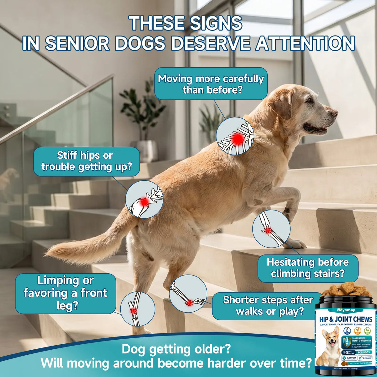 Advanced Canine Hip and Joint Supplement with Glucosamine, MSM, Chondroitin, Multivitamins, and Green Lipped Mussel - Chewable Joint Support for All Dog Breeds - Chicken Flavor