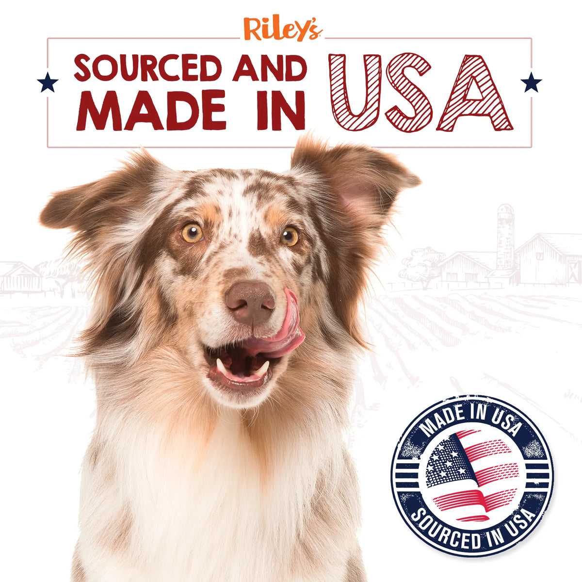 Riley's Premium Dehydrated Lamb Lung Dog Treats - Made in the USA - Air-Dried, Crunchy & Delicious - 6 oz