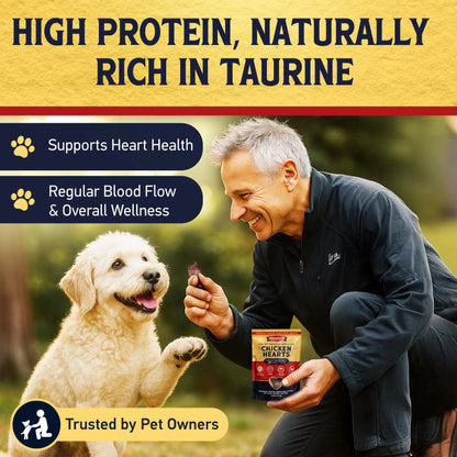 Nibble & Nourish Freeze-Dried Chicken Hearts for Dogs and Cats – Premium Single Ingredient Raw Treats, Made in the USA, Ideal for Training, Meal Enhancements, and Daily Rewards, Free from Fillers and Preservatives