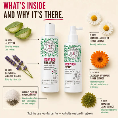 Dead Sea Itchy Skin Relief Bundle - Itchy Dog Shampoo 300Ml + Itchy Dog Spray 250Ml Spray | Plant-Based, Vet-Developed