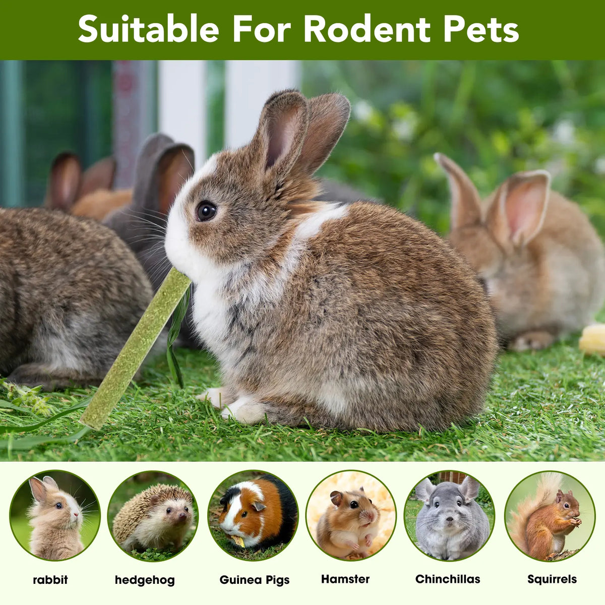 Bulk Pack of 45 Natural Hay Chew Sticks - Twice Baked, Low-Protein Chew Treats for Rabbits and Small Animals with Feeding and Gut Support, Enriched with Vitamins