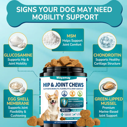 Advanced Canine Hip and Joint Supplement with Glucosamine, MSM, Chondroitin, Multivitamins, and Green Lipped Mussel - Chewable Joint Support for All Dog Breeds - Chicken Flavor