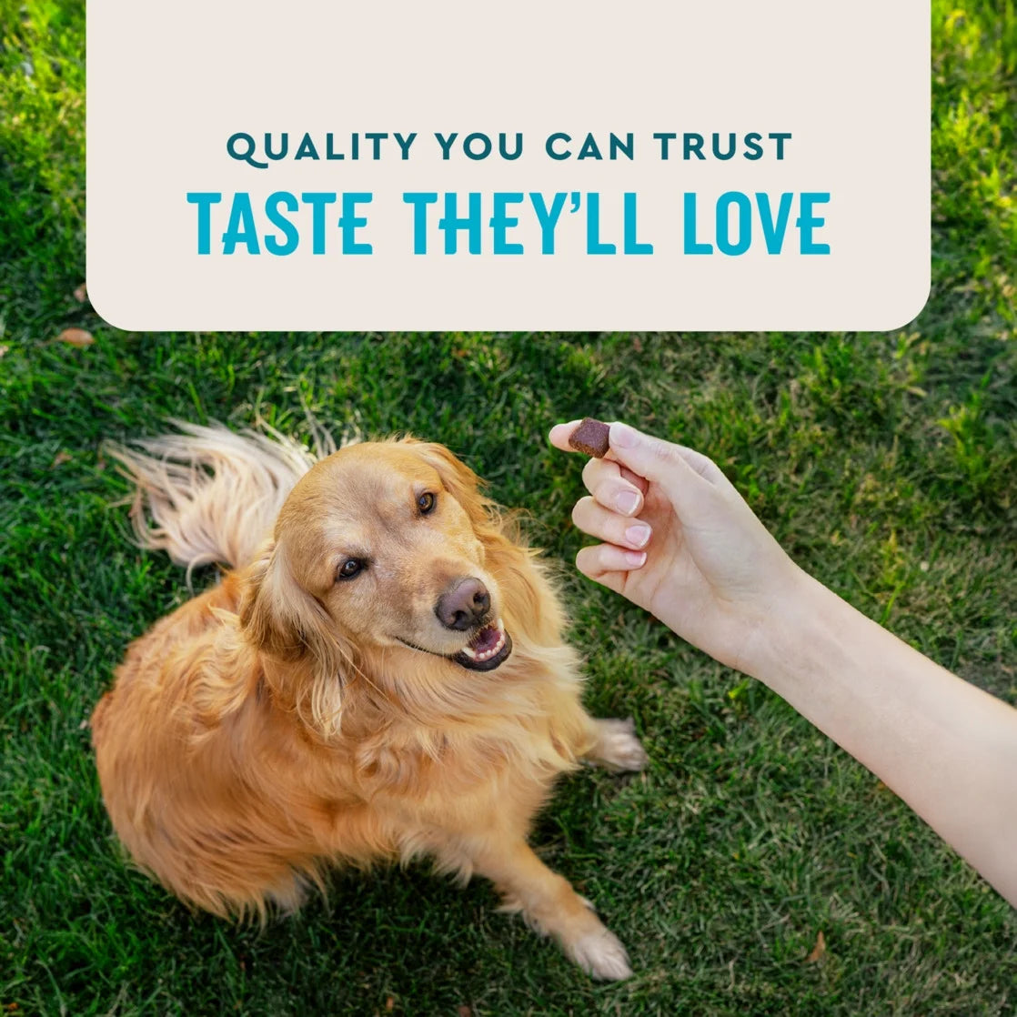 (6 Pack) Vetiq Hip & Joint Supplement for Dogs, Chicken Flavored Soft Chews, 7.4 Oz, 60 Count