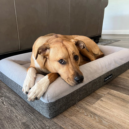 Orthopedic Memory Foam Dog Bed for Large Breeds with Arthritis or Health Concerns