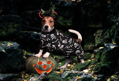Dog Pajamas Halloween Dog Costume Short Plush Pet Pjs Skull&Crossbones Super Soft and Stretchy Pet Jammies for Small Medium Dogs (S/M)