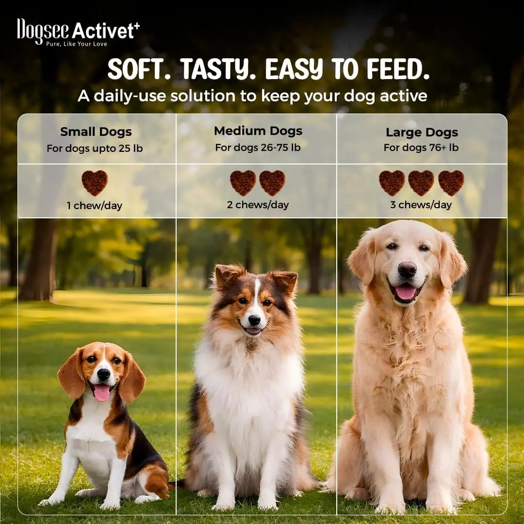 Dogsee Activet+ Allergy Support Chewables for Dogs, Enriched with Beneficial Bacteria, Quercetin, and Botanicals for Seasonal Allergy Relief, Immune Support, Healthy Skin, and Digestive Health - Chicken Flavor, 90 Chews