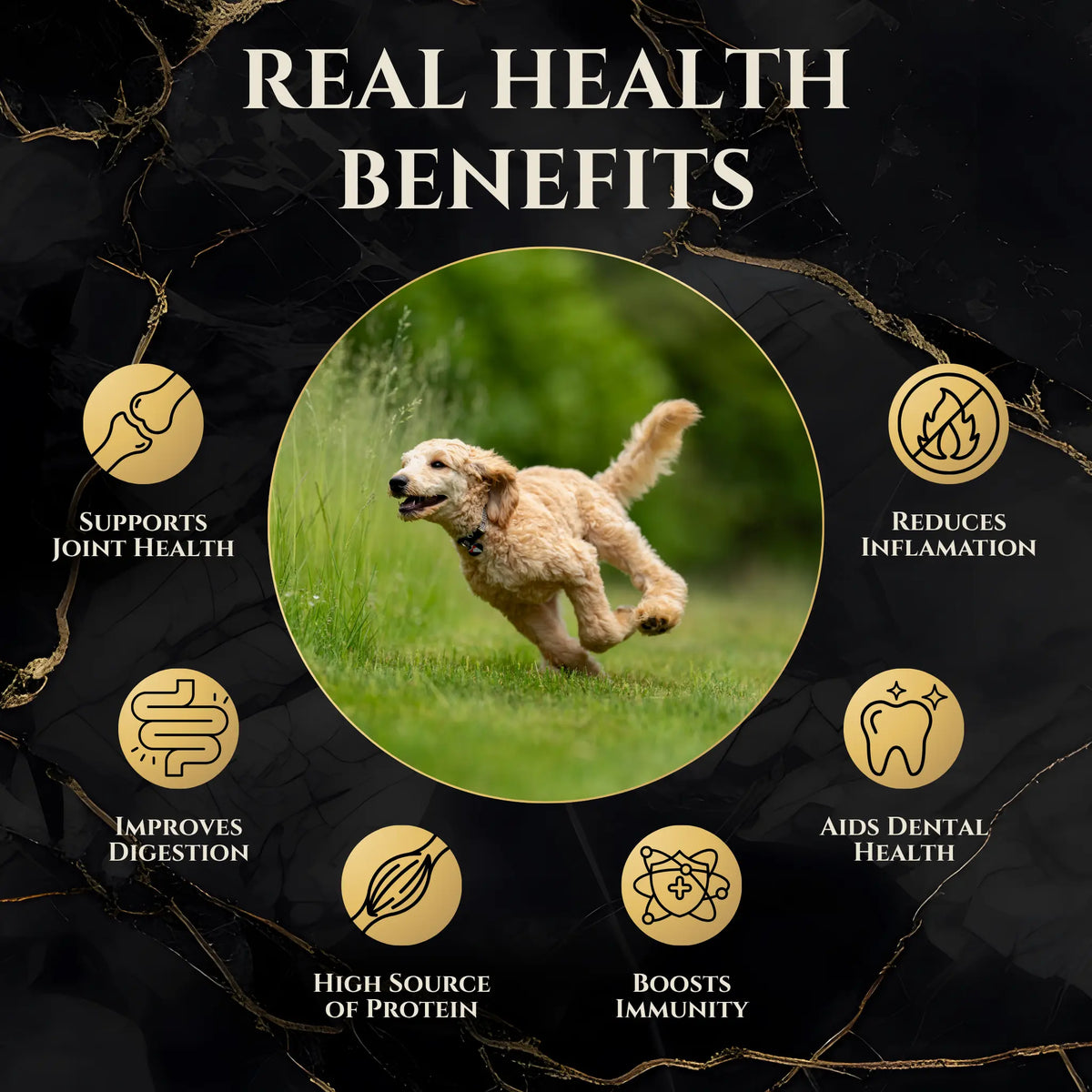 Freeze Dried Beef Liver Dog Treats - Single Ingredient Training Treats, Grain-Free, High-Protein (No Fillers) Natural