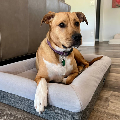 Orthopedic Memory Foam Dog Bed for Large Breeds with Arthritis or Health Concerns