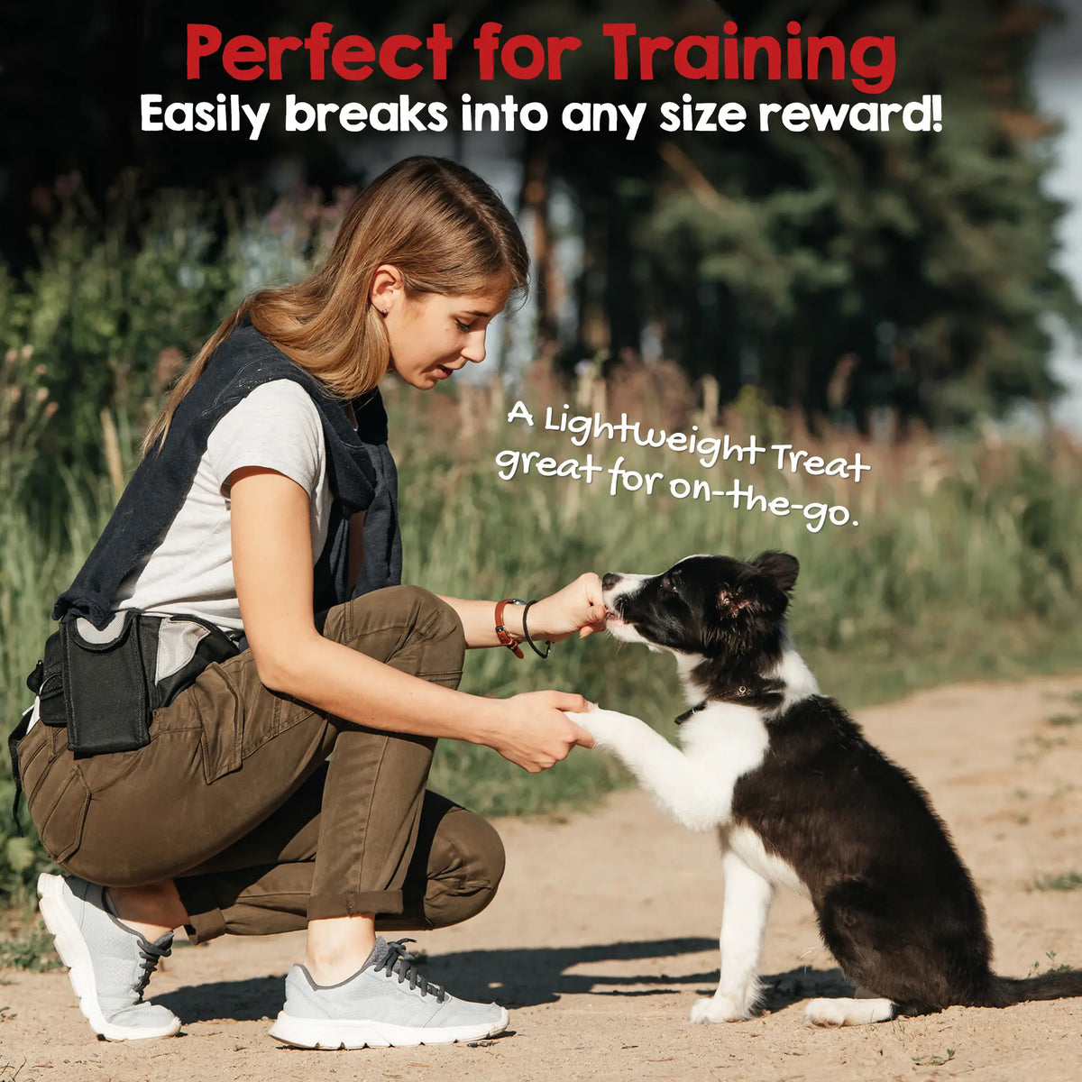Riley's Premium Dehydrated Lamb Lung Dog Treats - Made in the USA - Air-Dried, Crunchy & Delicious - 6 oz