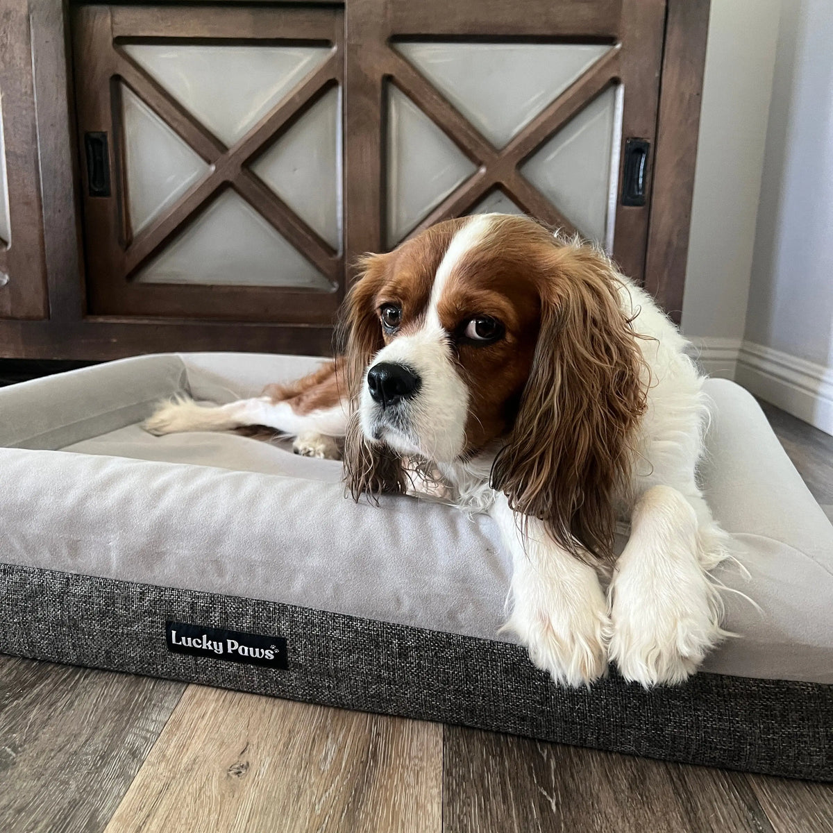 Orthopedic Memory Foam Dog Bed for Large Breeds with Arthritis or Health Concerns